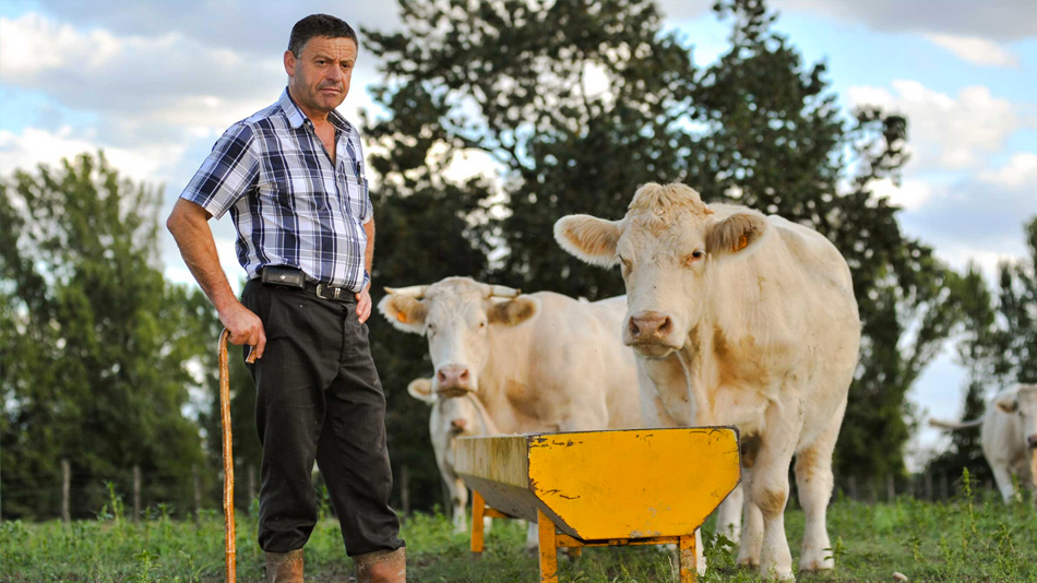 Ni viandard ni vegan : comment manger de la viande ? - Manger Citoyen