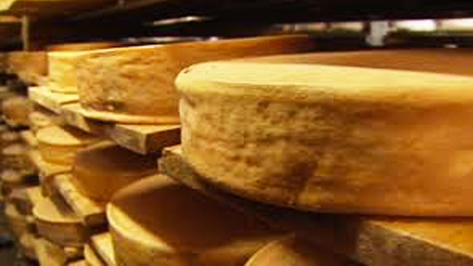 La filière des fromages au lait cru en danger - Manger Citoyen