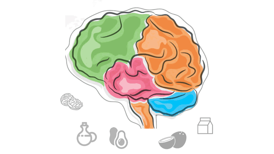 Parlez à votre cerveau pour contrôler votre alimentation - Manger Citoyen