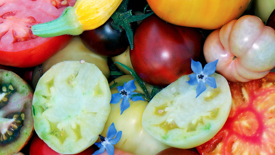 La tomate, c’est l’été, pas l’hiver - Manger Citoyen