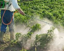 Les fruits contaminés aux pesticides - Manger Citoyen