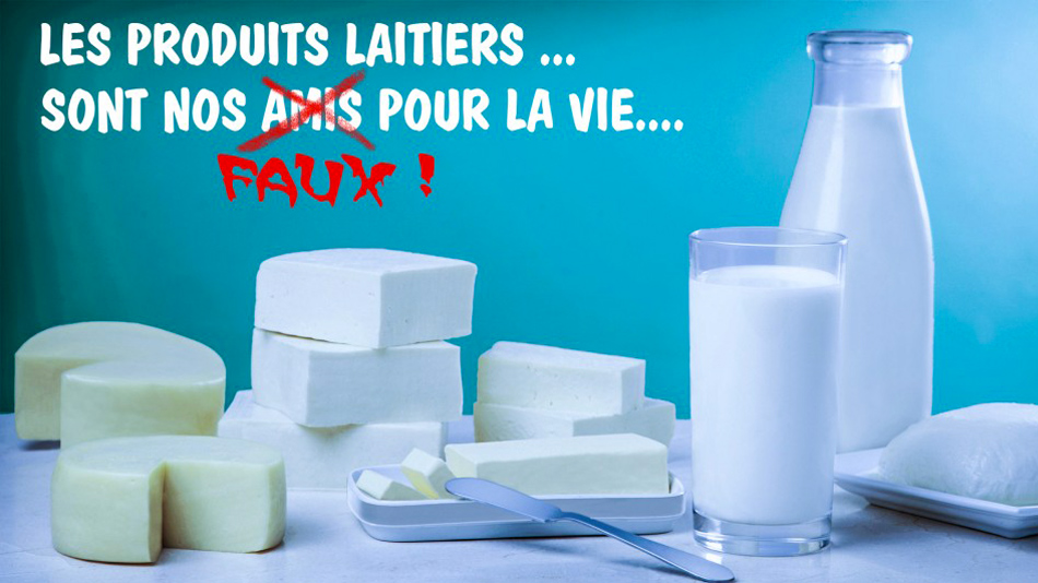 Pour les adultes, 3 produits laitiers par jour sont loin d’être indispensables - Manger Citoyen