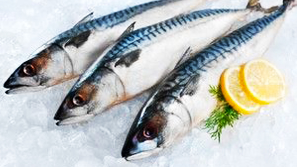 7 critères pour reconnaître un poisson frais et sain - Manger Citoyen