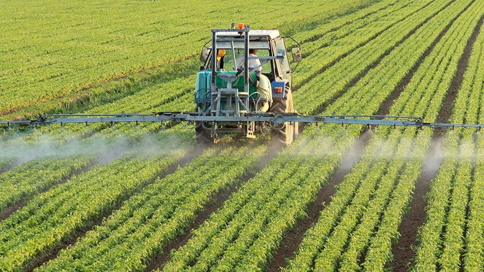 Fruits, légumes et pesticides - Manger Citoyen