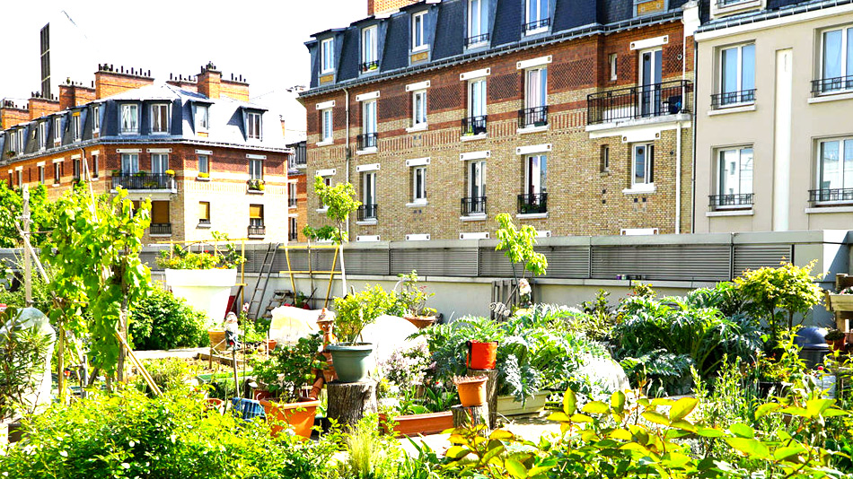 L’agriculture urbaine en plein essor - Manger Citoyen